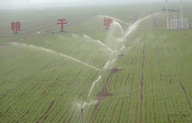 什么樣的農(nóng)田才屬于高標準農(nóng)田