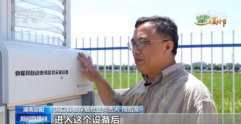 央視報道！云飛科技智慧植保設備助力湖南早稻蟲害精準防控