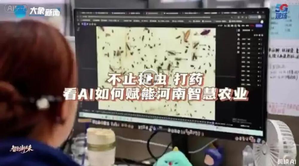 雙媒點贊，榮耀開年！云飛科技連登河南交通廣播與CCTV13欄目
