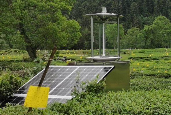 蟲情信息采集系統助力蔬菜實現綠色生態化種植